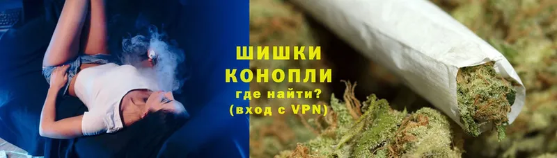 Бошки марихуана SATIVA & INDICA  продажа наркотиков  Новошахтинск 